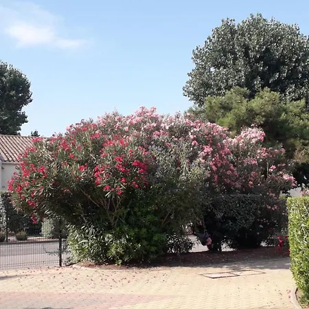 Quartier Naturiste Cap D'agde Apartament